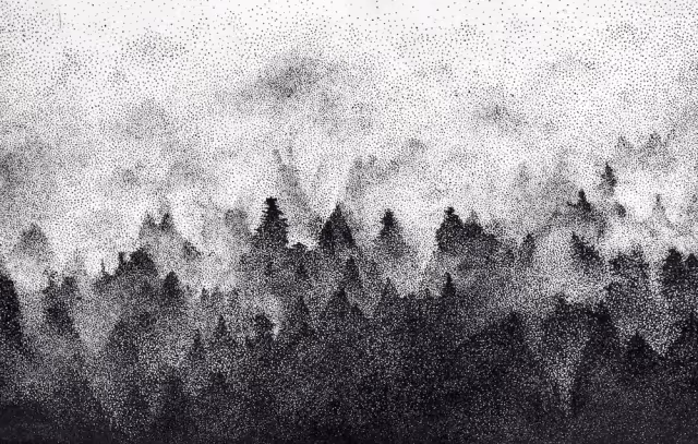 Foggy Forest